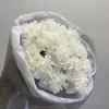 Букет из белых диантусов